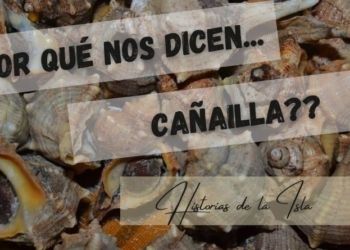 por que nos dicen cañailla