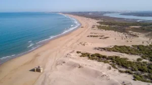 playa camposoto y parque natural bahía de cádiz