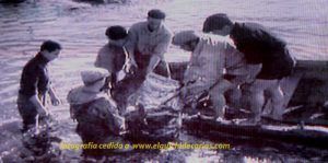 Despesque en la isla de león San Fernando